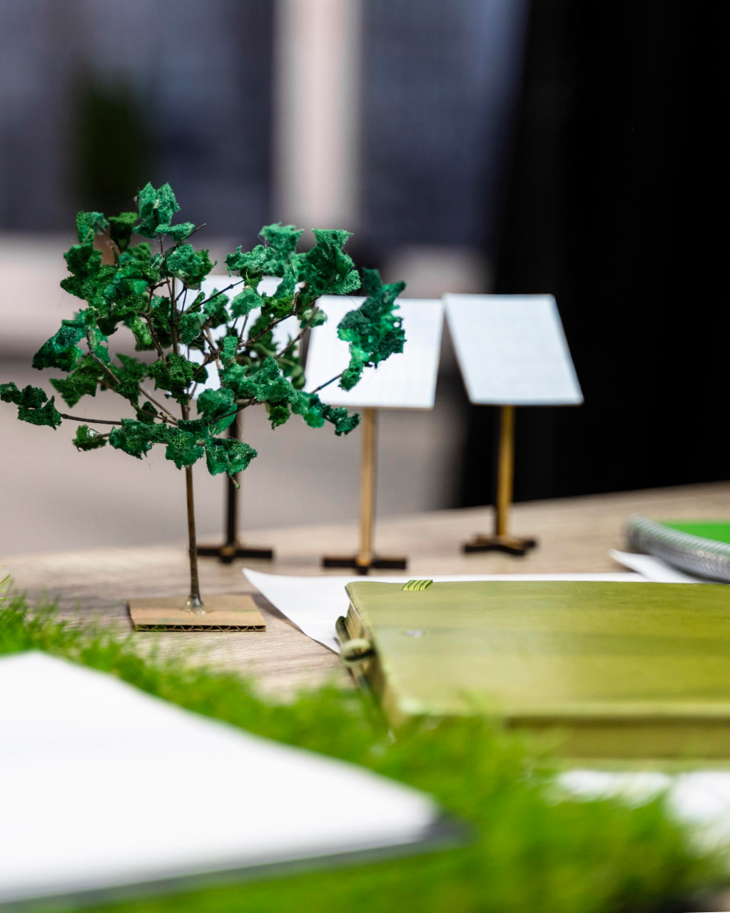 investment feasibility and rural development